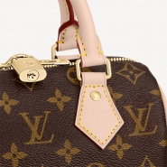 Сумка Louis Vuitton SPEEDY 20